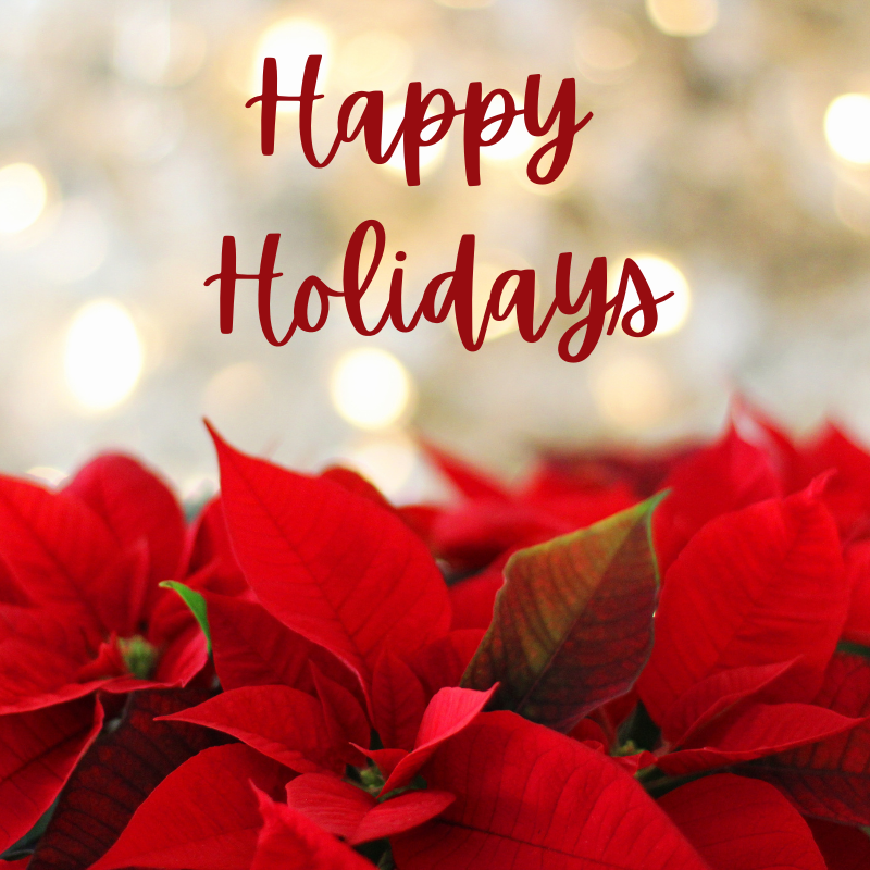 LaGrottaDelForm's tweet photo. Happy Holidays from La Grotta!✨ https://t.co/1pMmrRW71F