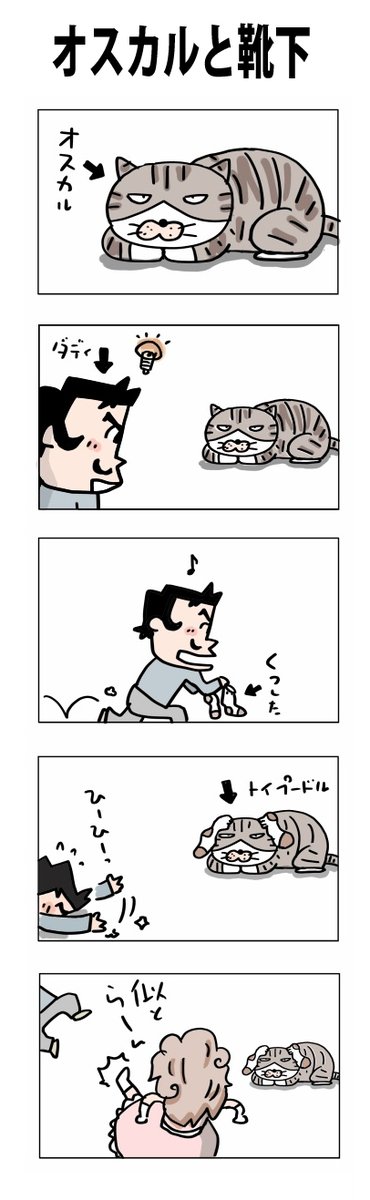 オスカルと靴下
#こんなん描いてます
#自作マンガ #漫画 #猫まんが 
#4コママンガ #NEKO3 