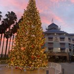 Photo by Waterfront Hotel (@JDVWaterfront)