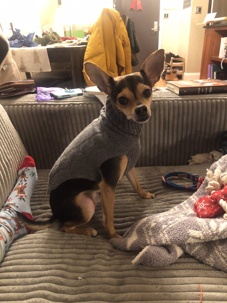 FookVicky's tweet image. The coolest kid in town