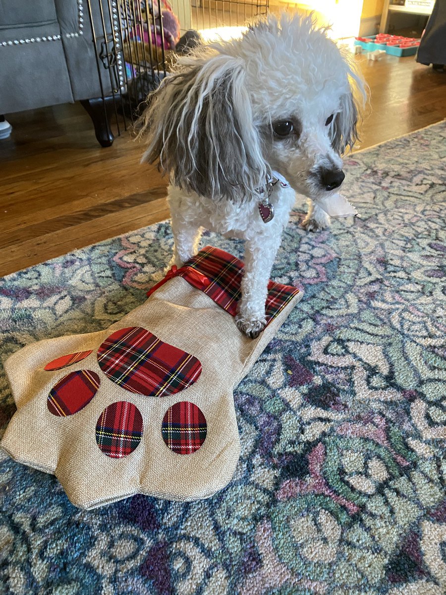 support_unicorn's tweet image. Happy Christmas! What did you get in your stocking?