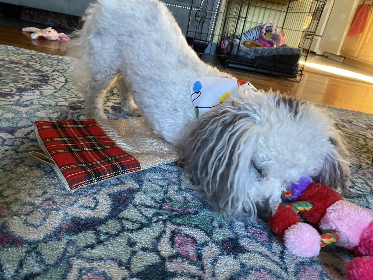 support_unicorn's tweet image. Happy Christmas! What did you get in your stocking?