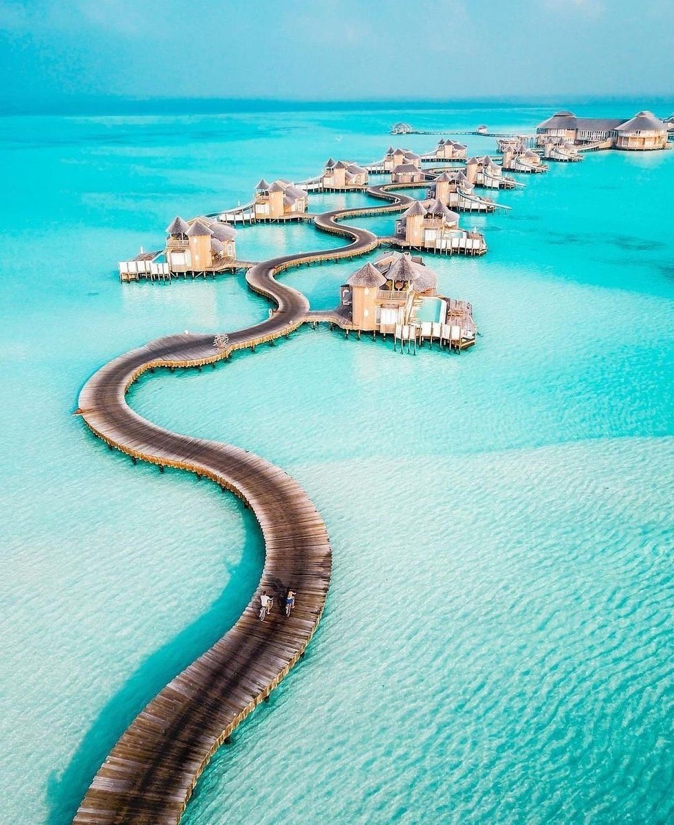 INTERIORPORN1's tweet photo. Welcome to the Maldives 🇲🇻 https://t.co/WliDkGFmEp