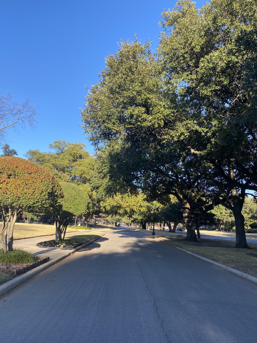 Miss Sanz tweet media