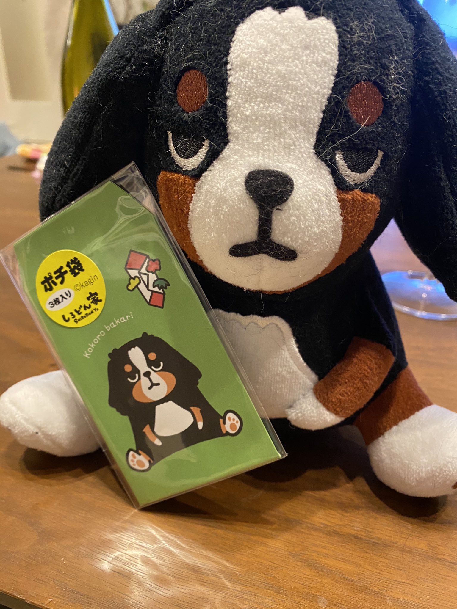 たくみん 鹿児島銀行 キャラクター くろどん 鹿児島銀行 くろどん キャラクター しろどん ライバル バーニーズマウンテンドッグ T Co Sitgvfrrna Twitter