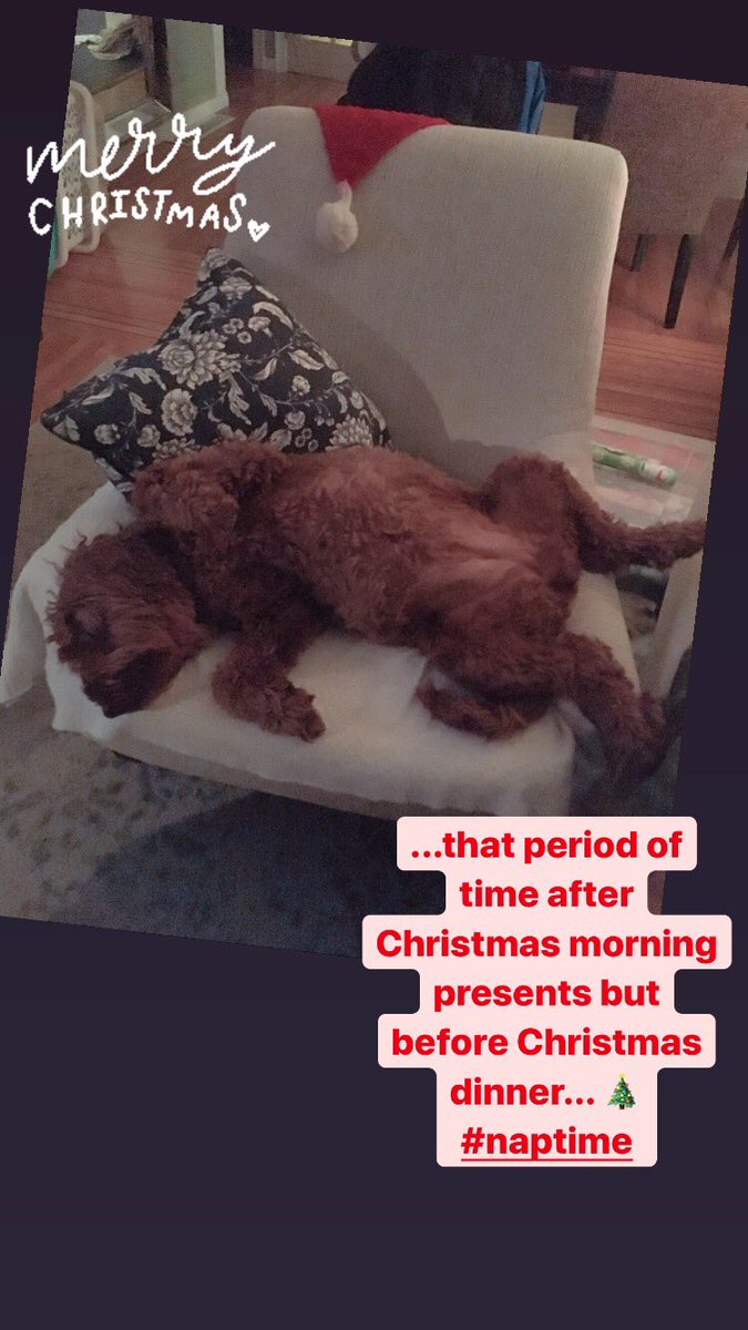 #naptime #MerryChristmas