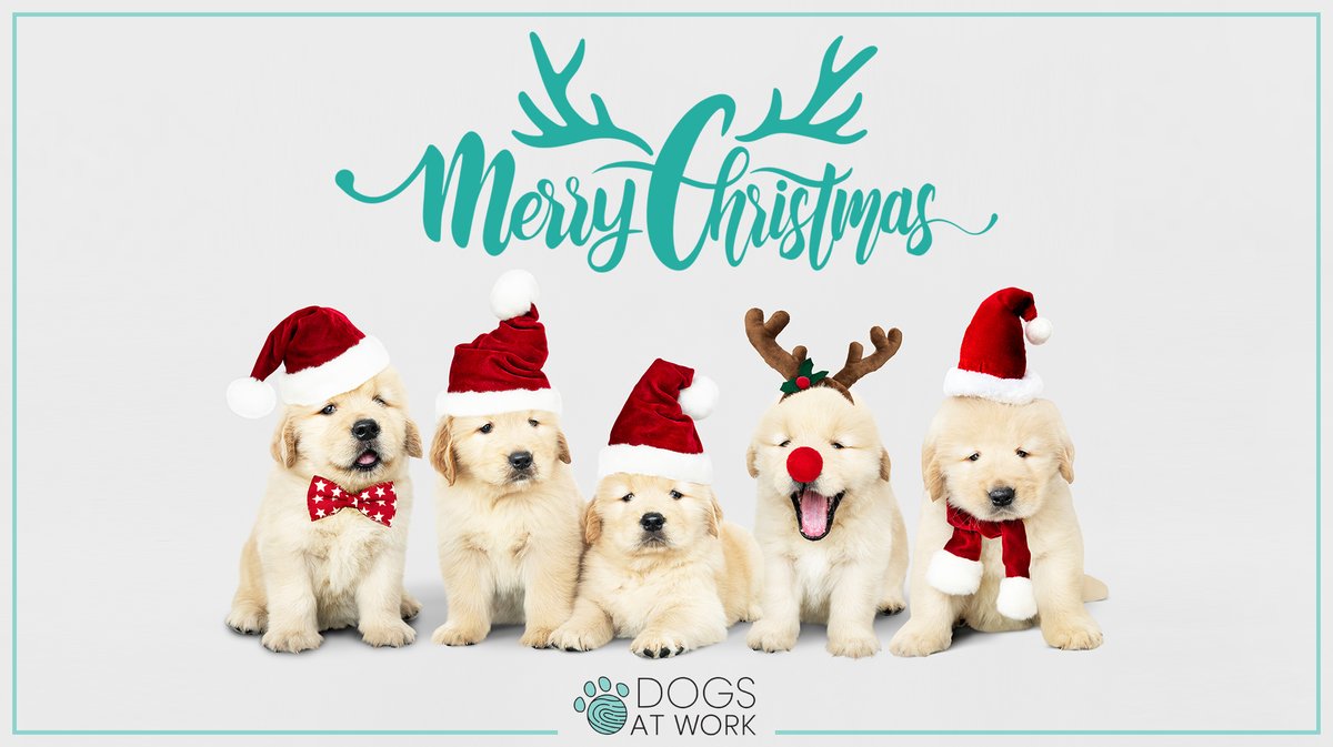 Wishing you peace, joy, and all the best this wonderful holiday has to offer 🎄❤