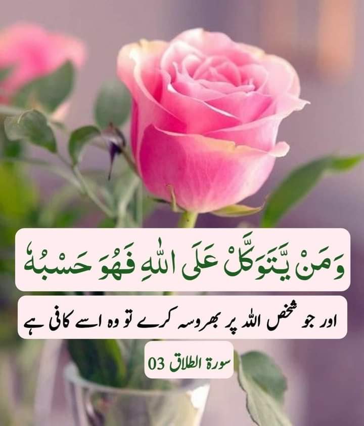 Ra_jo5's tweet photo. اَلســَلامُ عَلَيــْكُم وَرَحـْمَــةُ اَللــهِ وَبـَرَكاتُــه 

🌹جو لوگ اللّہ کو ہمسفر بنا لیتے ہیں,انہیں سفر کبھی خوف زدہ نہیں کرتا.....
🌹اور جو اللّہ سے جڑ جاتے ہیں انہیں کوئی توڑ نہیں سکتا,🌹 https://t.co/YwNRoM0j97