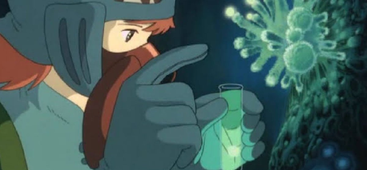 メェ 風の谷のナウシカを初めてみたときに この胞子 の採取シーンに厨ニ病がうずき速攻で試験管とかに綿毛とか埃採取 そしてこの部屋に憧れた結果 部屋に観葉植物置きまくり 砂を詰めたプランターに猫じゃらしさして 胞子 と思い込んでました 風の