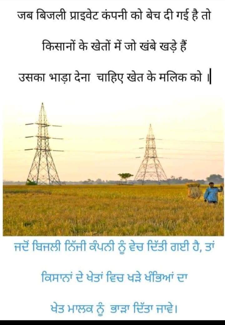 ShammiSekhon's tweet image. 