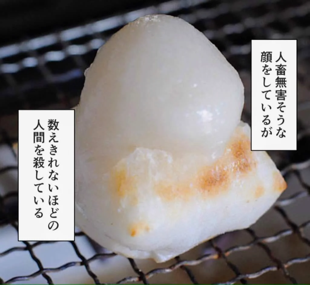 美味しいけれど食べるときには油断禁物なあの食べ物！お餅は少しずつゆっくり食べよう！