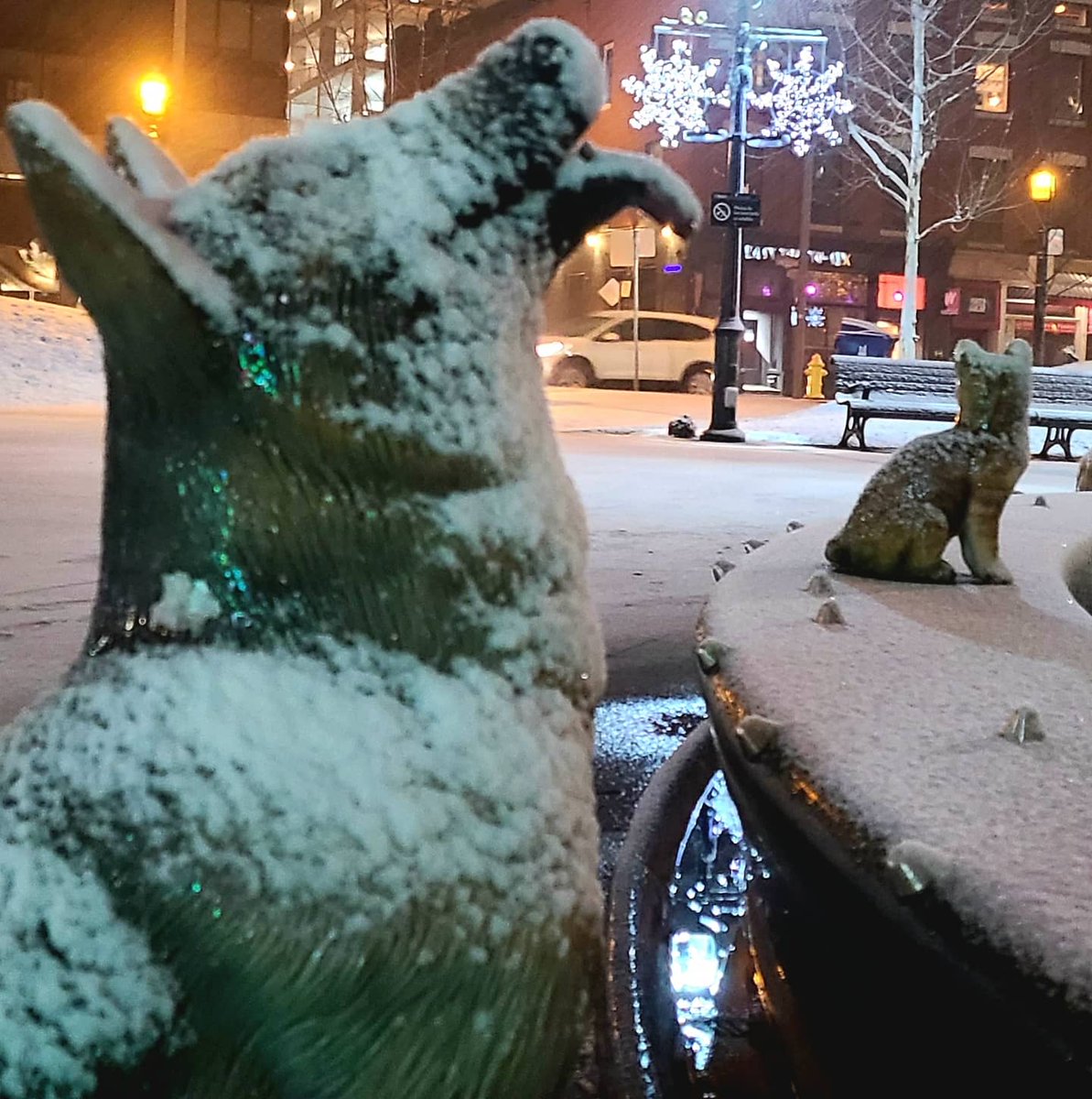 C4core's tweet photo. Merry White Christmas ❄
#Toronto #imagesoftoronto #lovettoronto #staysafe #ChristmasInTheCity #dogpark #whitechristmas #dogsoftoronto #torontotogether #Christmaslights #Christmas #memoirsoftoronto #aussiewithabackpack @OldTownToronto @weatherchannel @weathernetwork @blogTO https://t.co/YAXFEsdUv5
