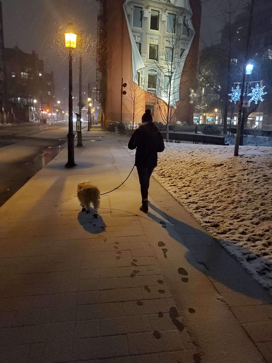 C4core's tweet photo. Merry White Christmas ❄
#Toronto #imagesoftoronto #lovettoronto #staysafe #ChristmasInTheCity #dogpark #whitechristmas #dogsoftoronto #torontotogether #Christmaslights #Christmas #memoirsoftoronto #aussiewithabackpack @OldTownToronto @weatherchannel @weathernetwork @blogTO https://t.co/YAXFEsdUv5