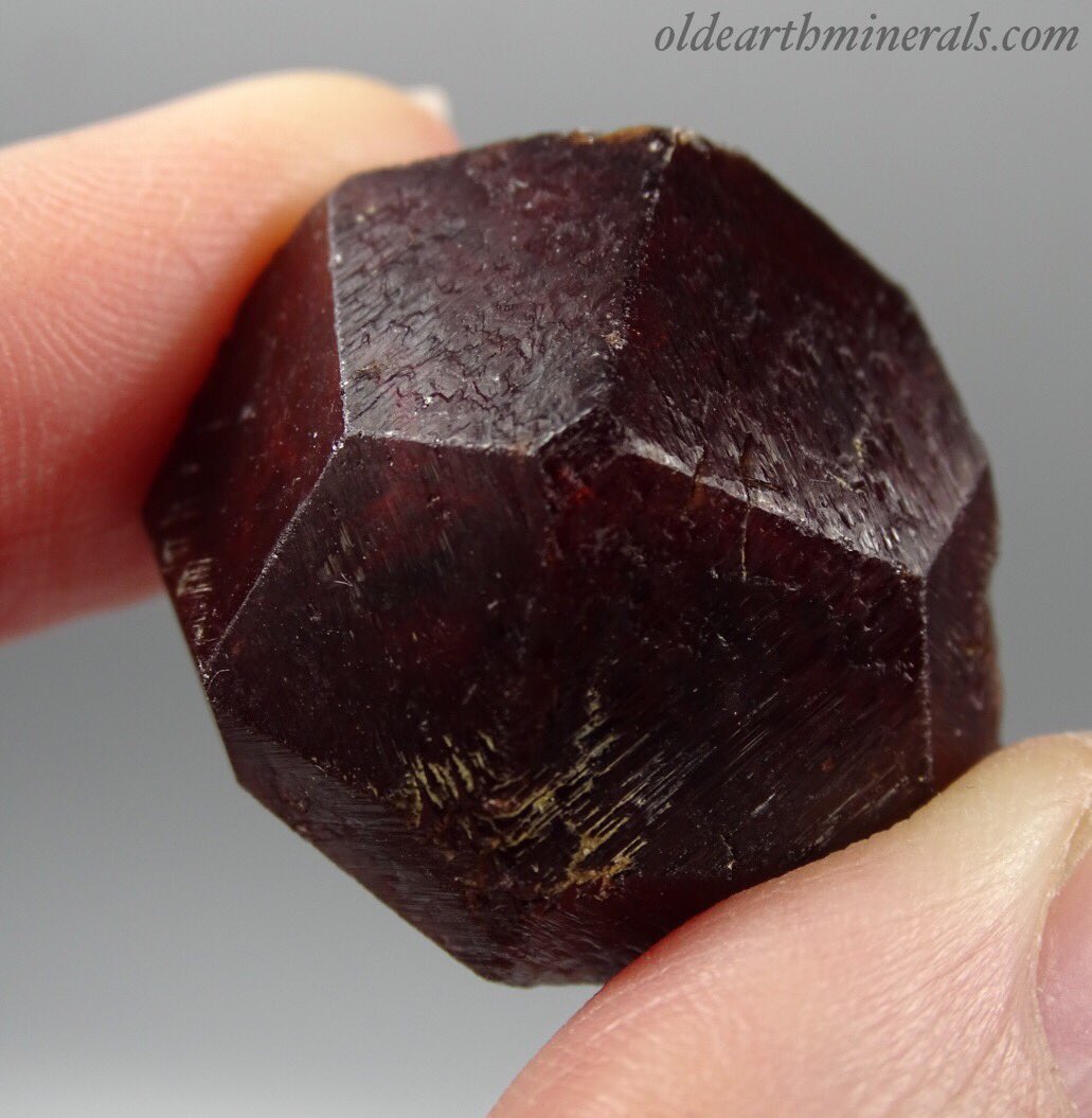 OldEarthMineral's tweet photo. 2.6 cm Partial Red Rough Garnet Crystal. $32 plus shipping. 26 x 20 x 13 mm. 21 grams.
https://t.co/8bLzCLXYtA
.
 #roughgarnet #largegarnets #mineral #garnets #redgarnets #garnetcrystal #crystalhealing #crystals #redgarnet https://t.co/jXNU0aXEFl https://t.co/osCXD6yVDm
