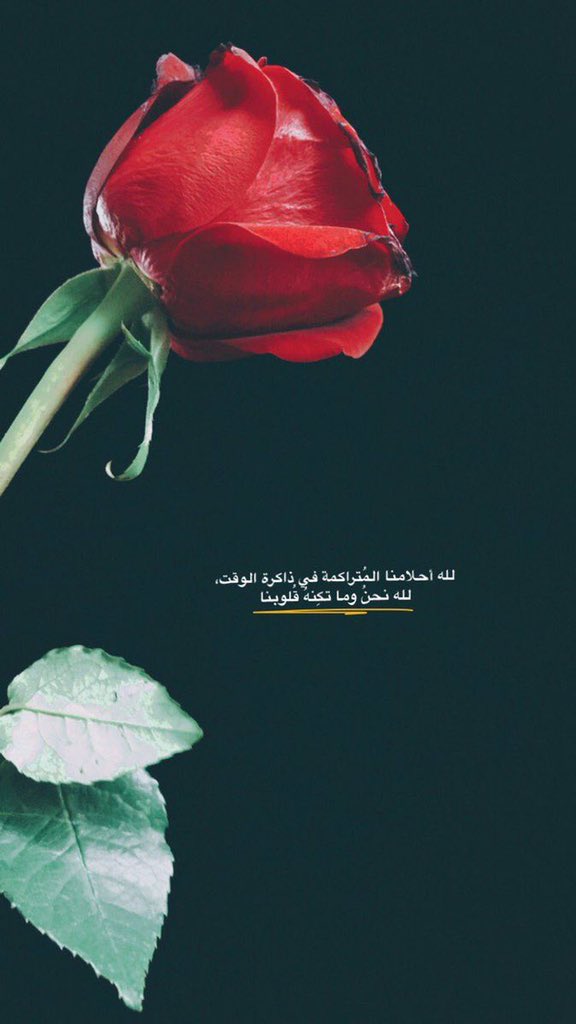 ☀ إشراقة ☀ 

سئل حكيم من تعزمن الناس ؟
قال : من أخلاقه كريمة ، ومجالسته غنيمة ،
ونيته سليمة ، ومفارقته أليمة ،
كالمسك كلما مر عليه الزمن زاده قيمة !

صباح المسك 🌹