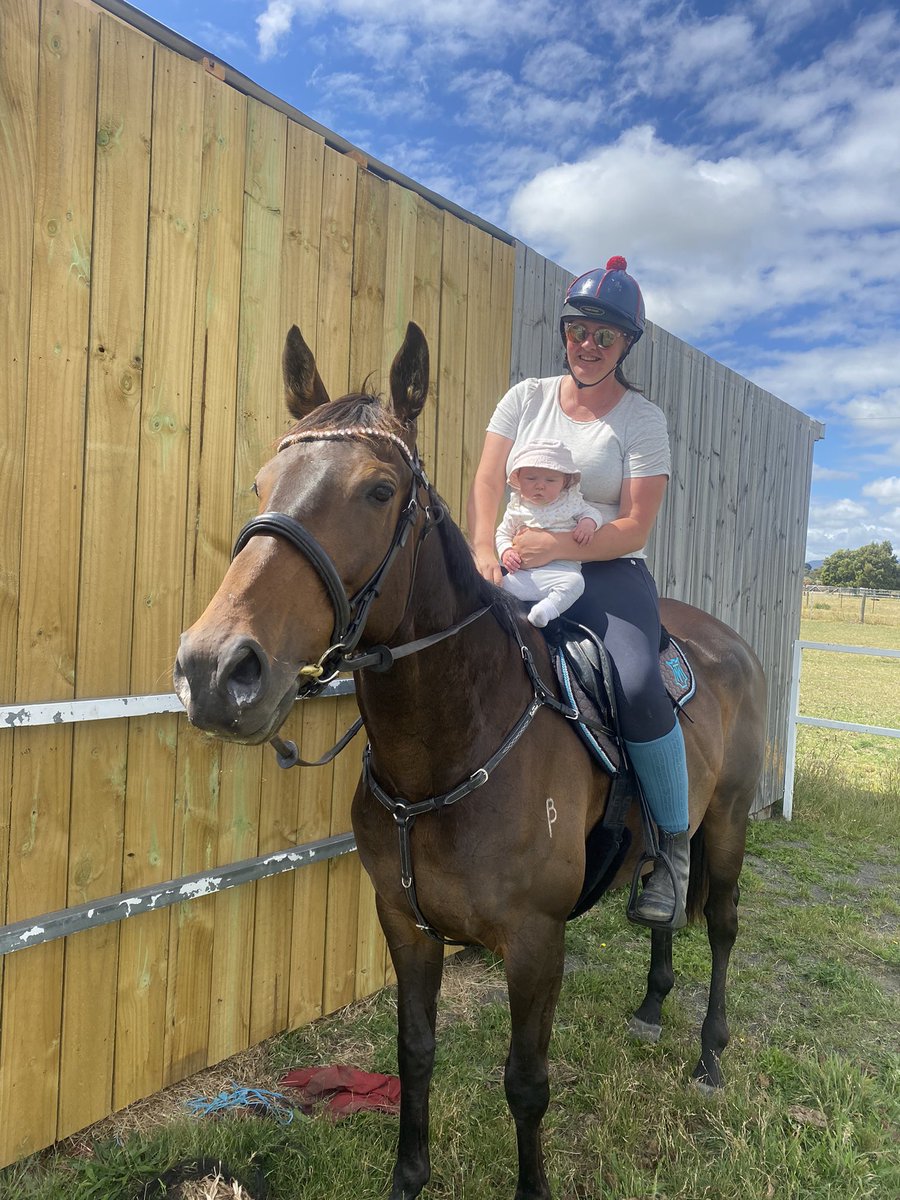 Young Cranach (Lucas Cranach x Syntonic) retired less then 6 months ago and now giving pony rides to 4month old Grace #offthetrack