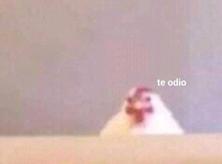 elgaIlino's tweet photo. yo viendome al espejo https://t.co/seJsPD0dVn
