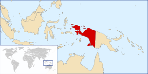Everyone knows there’s lots of ethnic conflict in the Third World. But in Indonesia there’s racial conflict too: SE Asian Javanese vs Melanesian Papuans.