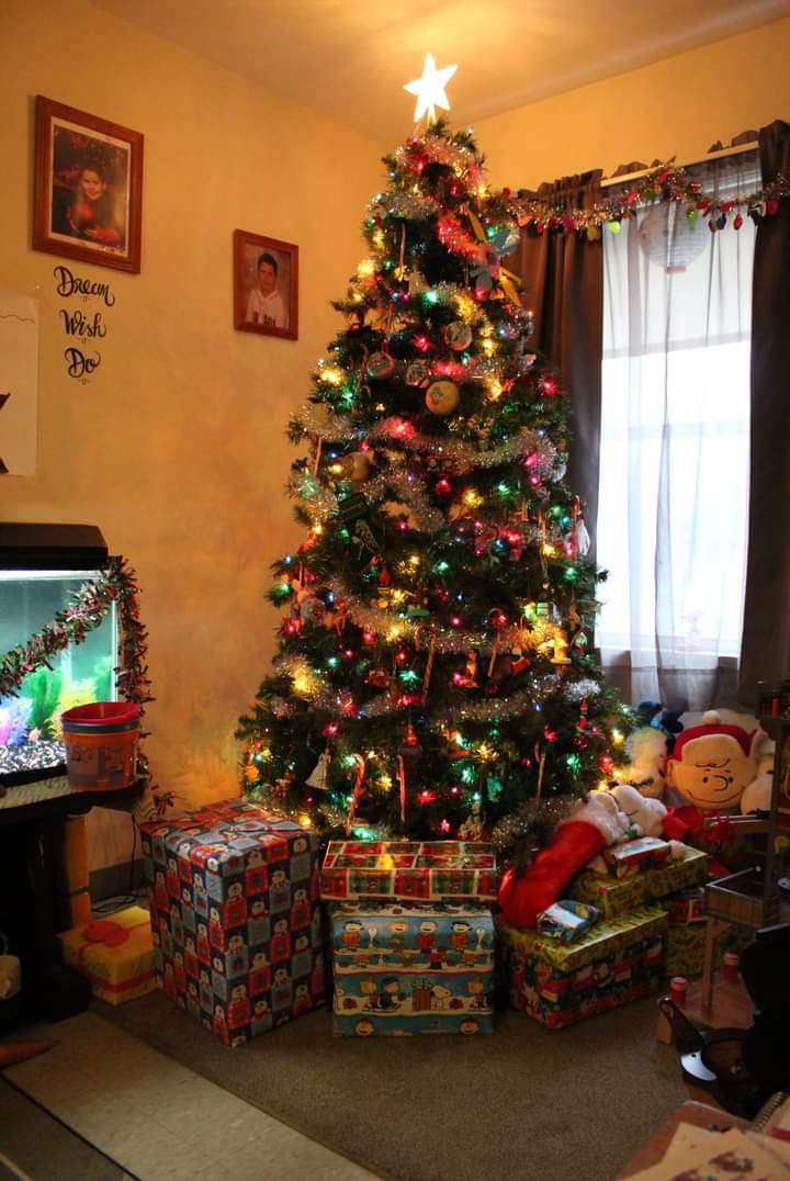 1 pic. Hope you guys all had a wonderful Christmas, I know I can't share my kiddos part of my xmas but