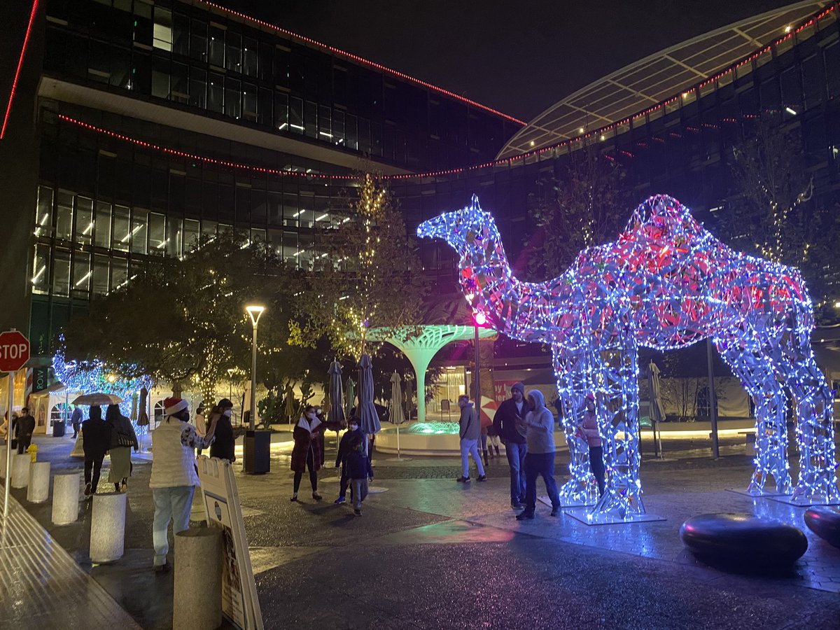 miki (ミキ) tweet media