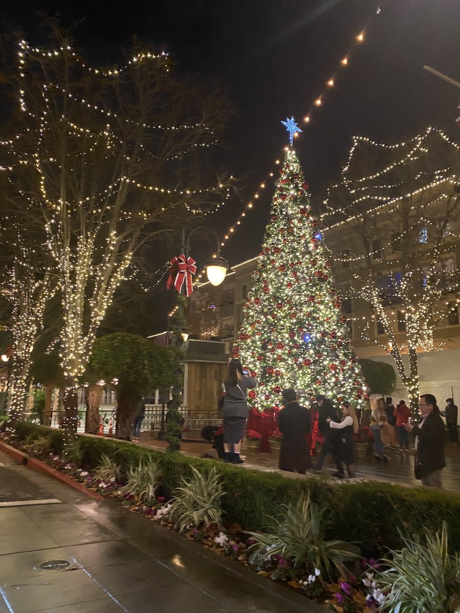 miki (ミキ) tweet media