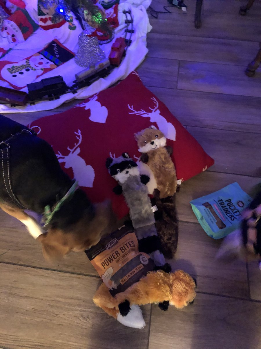 Merry Christmas y’all! Thank you <a href="/BeagleMum78/">Oggy 🐞 Oscar 🐞</a> Nut, Oggy &amp; Oscar for our spectacular #SecretBeagle2020 gifts!! #secretbeaglereveal