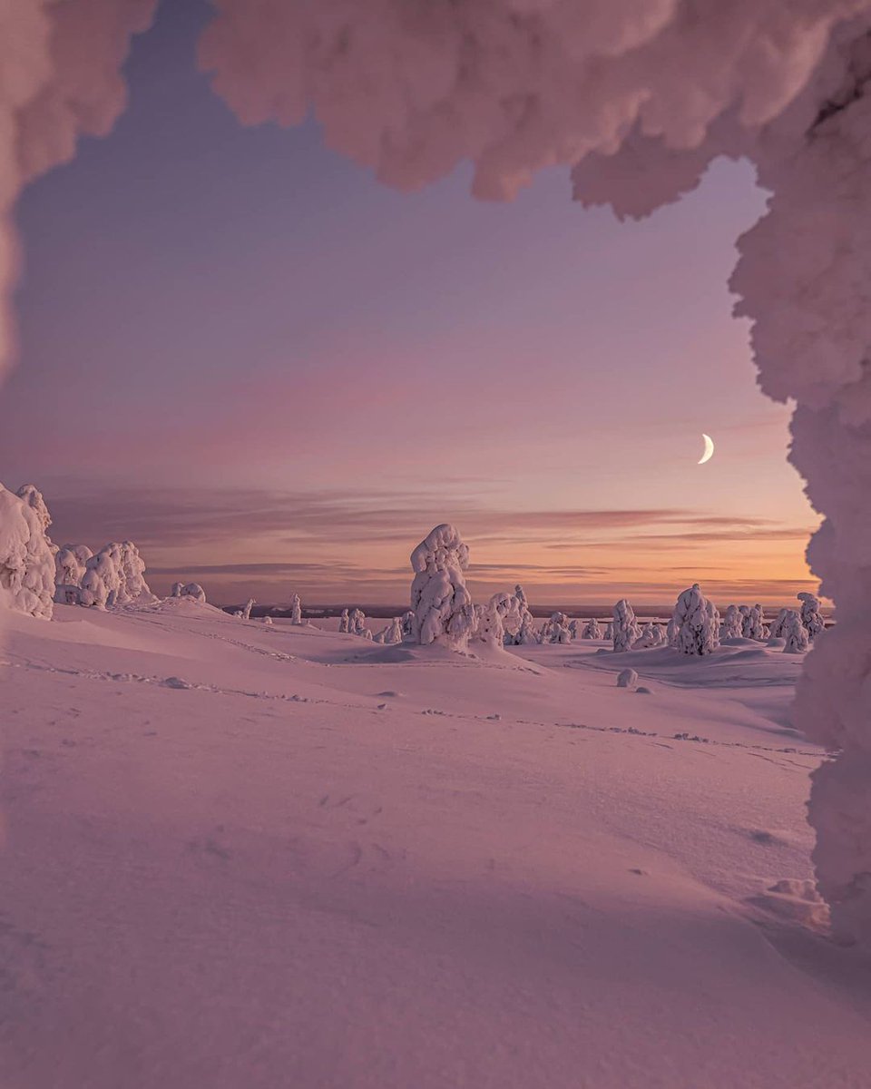 "Lapland, Finland. From u/Zordack on /r/mostbeautiful #lapland #finland #mostbeautiful"