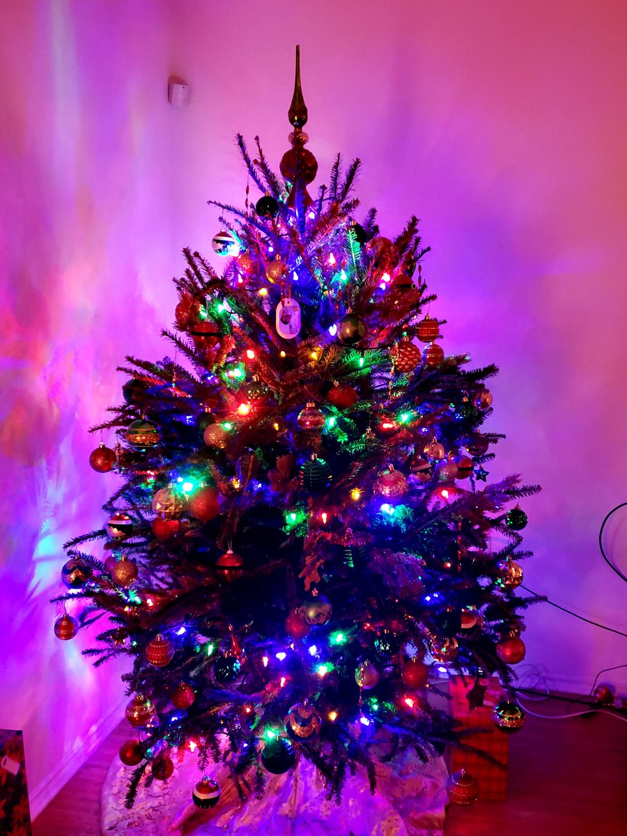 Sujita Joshi tweet media