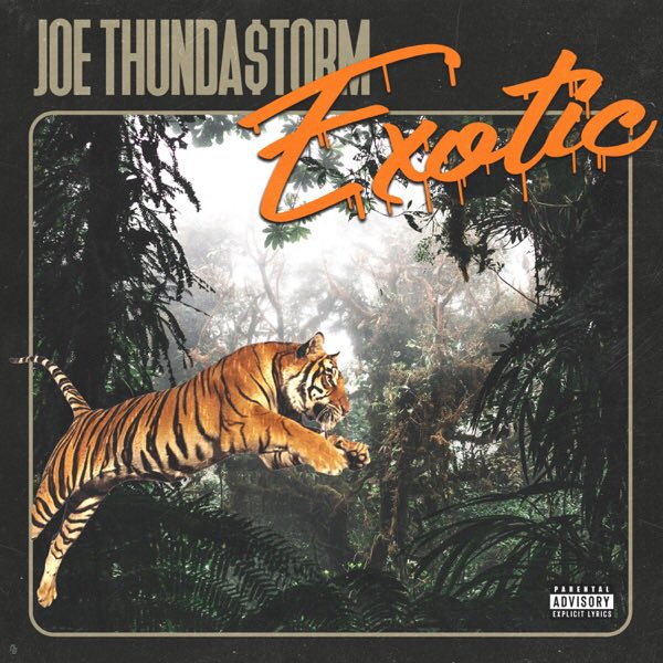 Big Thunda.

@joethunderstorm turns into Joe Exotic and let’s the tigers out on his newest single “Exotic”

Check it out:
tdn401.com/blog1/2020/12/…