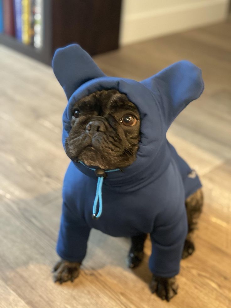 Niko styling as always @Seokie_Chanhee