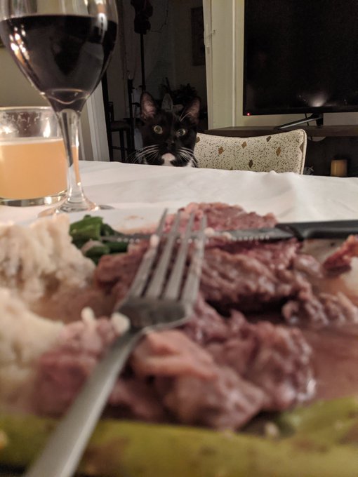 Anyone wondering how the food I was making online turned out... https://t.co/Ik5UynxuVY
