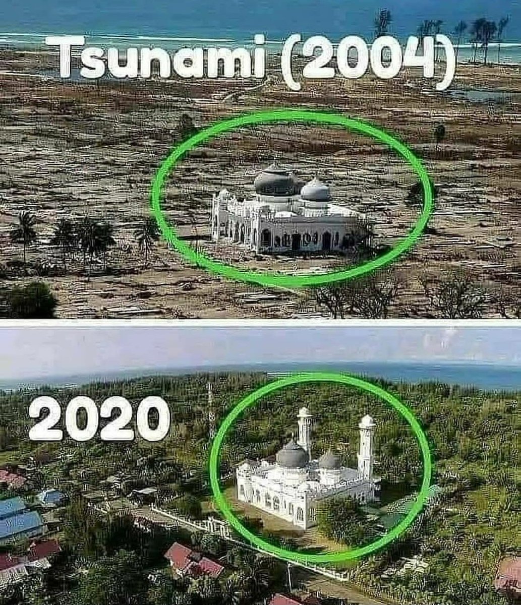 MardaniAliSera's tweet photo. Hari ini 26 Desember 16 tahun yang lalu. Gempa &amp; Tsunami besar terjadi di Aceh. Lebih dari 220 ribu korban meninggal dunia. Selalu kirimkan doa untuk para korban dan keluarga. Dan semoga kita semua selalu dalam lindungan Allah SWT. AlFatihah 🤲
#tsunamiaceh
#16tahuntsunamiaceh https://t.co/sz1vnsV1gJ