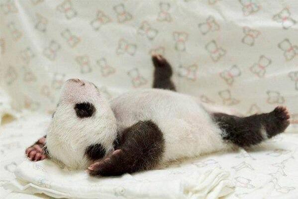 Cryptoaldia's tweet photo. Si no os importa, me voy a dormir un ratito https://t.co/ZJzRQTJoI5