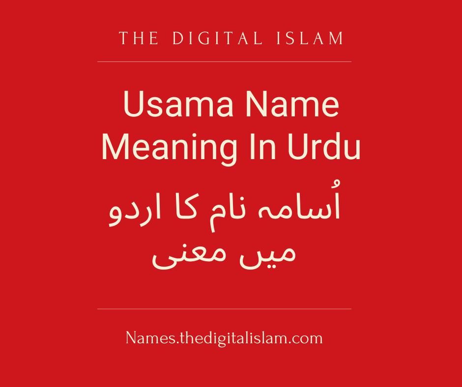 Digital_Islams's tweet image. Usama name meaning in Urdu names.thedigitalislam.com/people-society… #islamicnames #muslimgirlnames
