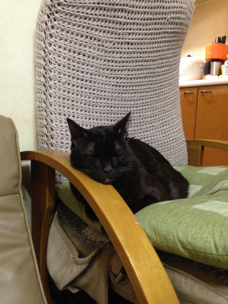 愛猫の死 愛猫の死