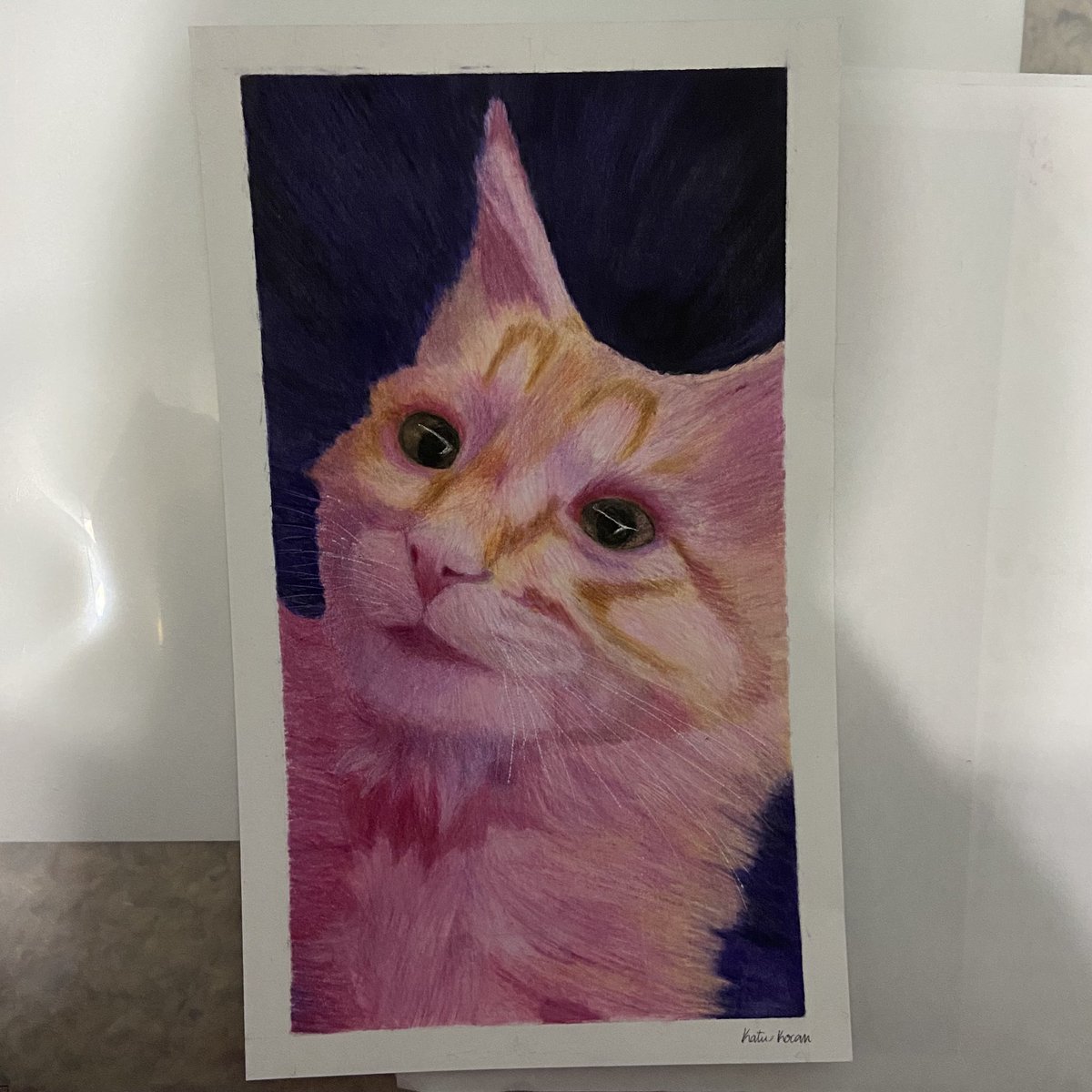supermonkeynuts's tweet photo. #aksuallygift @aksually my friend asked you to name her cat on an old stream and you named him sven! i drew a picture of him for her :) https://t.co/Nwmsmgg4xY