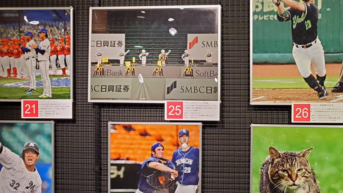 BaseballHOF1959's tweet photo. #野球殿堂博物館 企画展「#野球報道写真展2020」では、スタンドで踊りを披露する「Pepper」と犬型ロボット「Spot」の写真(#スポニチ #岡田丈靖 氏撮影)も展示中だよ📷
#Peppar(@Pepper140605)くんにも観に来てほしいな😀🎵
#NPB #プロ野球 #野球 #福岡ソフトバンクホークス #sbhawks #ロボット応援団 https://t.co/H12HWaGlMs