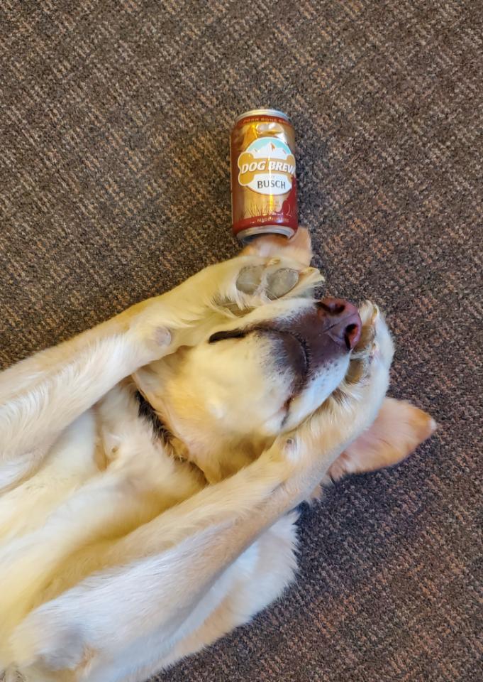 jrt219's tweet image. Too much Christmas cheer! @BuschBeer