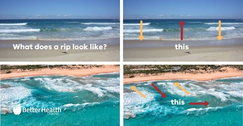 Better Health Channel tweet media