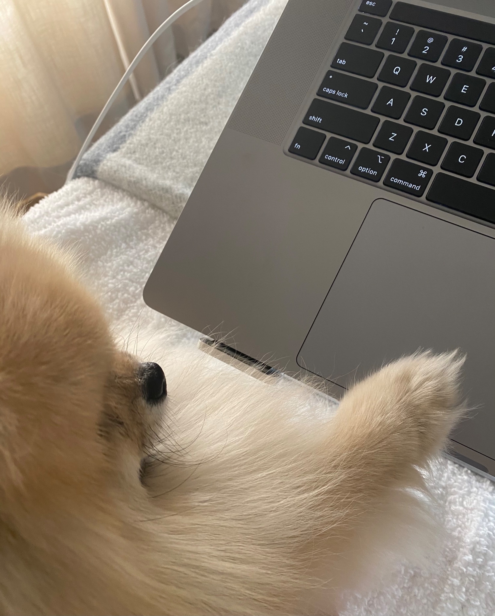 TW Pornstars - NIKKI BENZ. Twitter. Looking at POMHub again. 3:01 AM - 26  Dec 2020