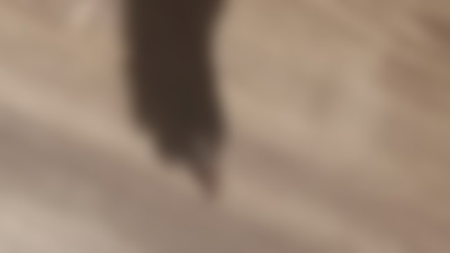 Please support my GoFundMe campaign: gofundme.com/f/28gya15blc?u… <a href="/gofundme/">GoFundMe</a>