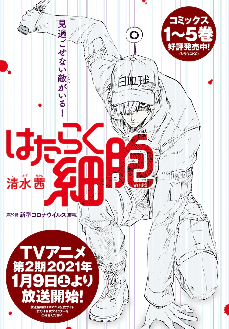 otakujp on X: Manga Cells at Work! will be ended in the next episode. The  last arc is about Covid-19. There are enemies that cannot be overlooked  The anime Season 2 starts