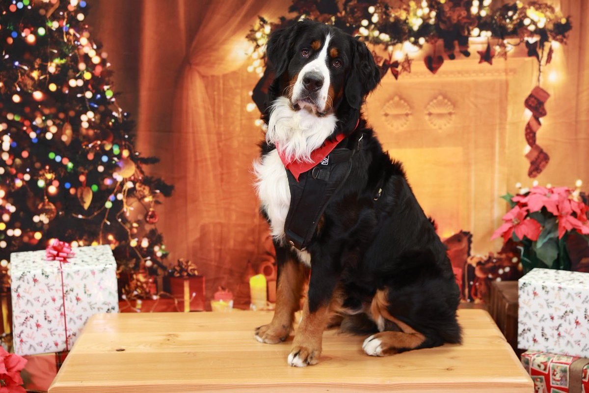 CJWatson7's tweet image. Merry Christmas 🎁🎄 Everyone! #OthersFirst