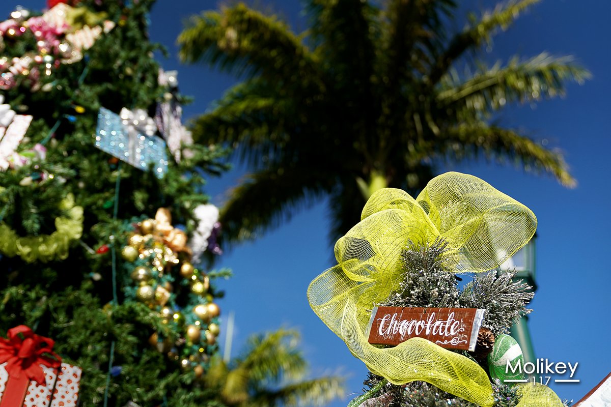 Aloha! My Friends.🌴🌊🌈💦🌿💕🌺
🏥 Big mahalo to healthcare professionals.💞

🌴 Mele Kalikimaka (Merry Christmas)🎄💞

#hawaii #bigisland #healthcareprofessionals #StaySafe #ShareAloha