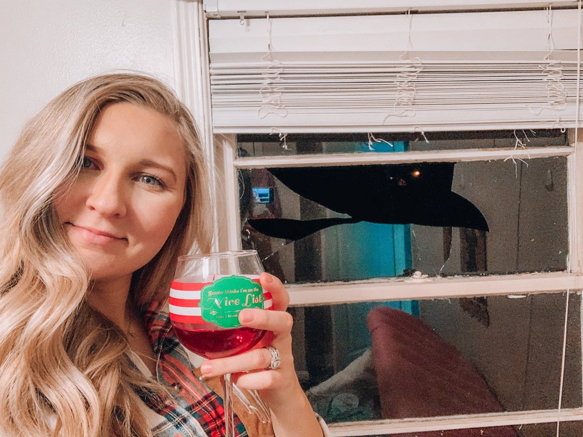 mo_hiebert's tweet photo. *describe Christmas 2020 in one picture* https://t.co/Kkh10eVgnJ