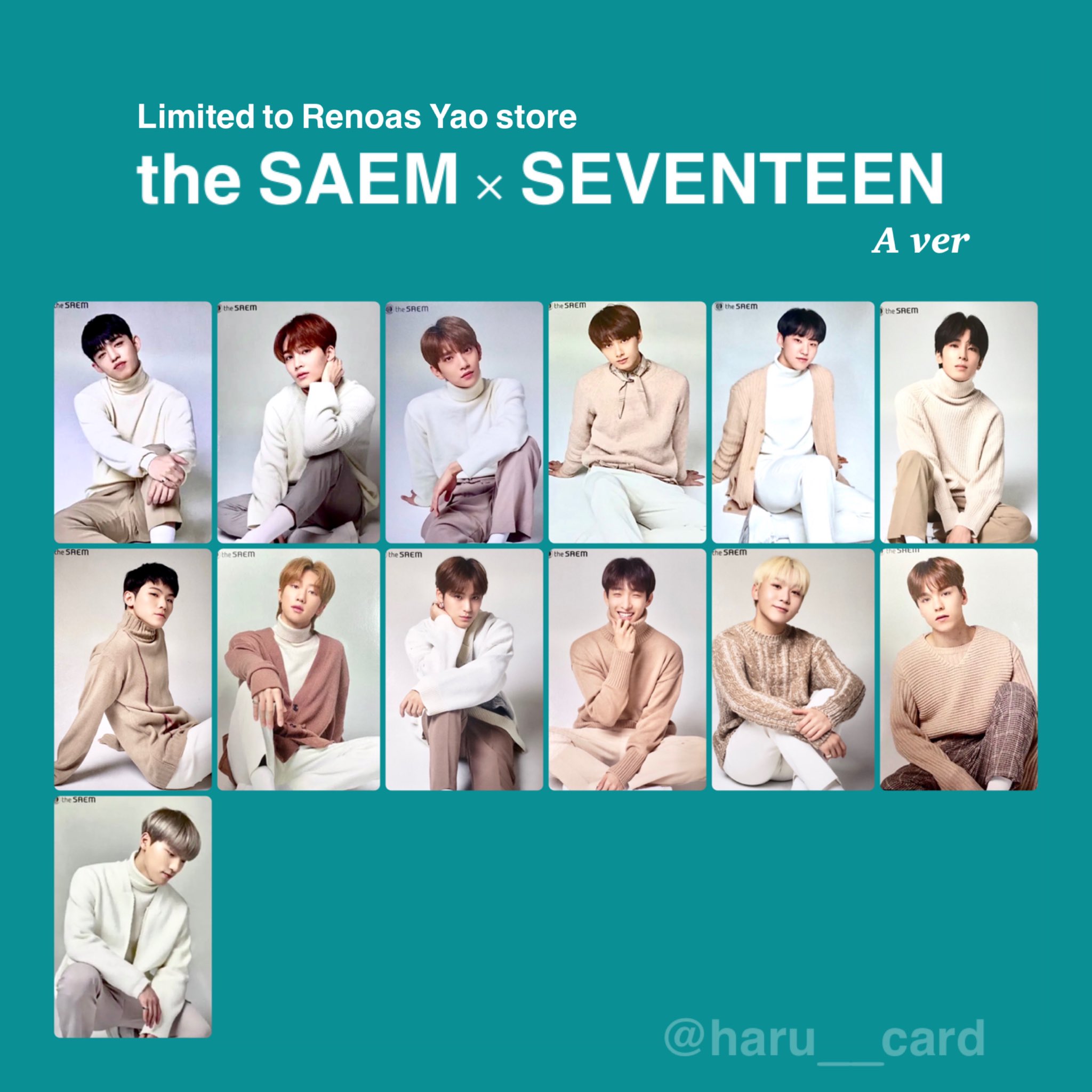 SEVENTEEN ジュン　the saem トレカ　ステッカー