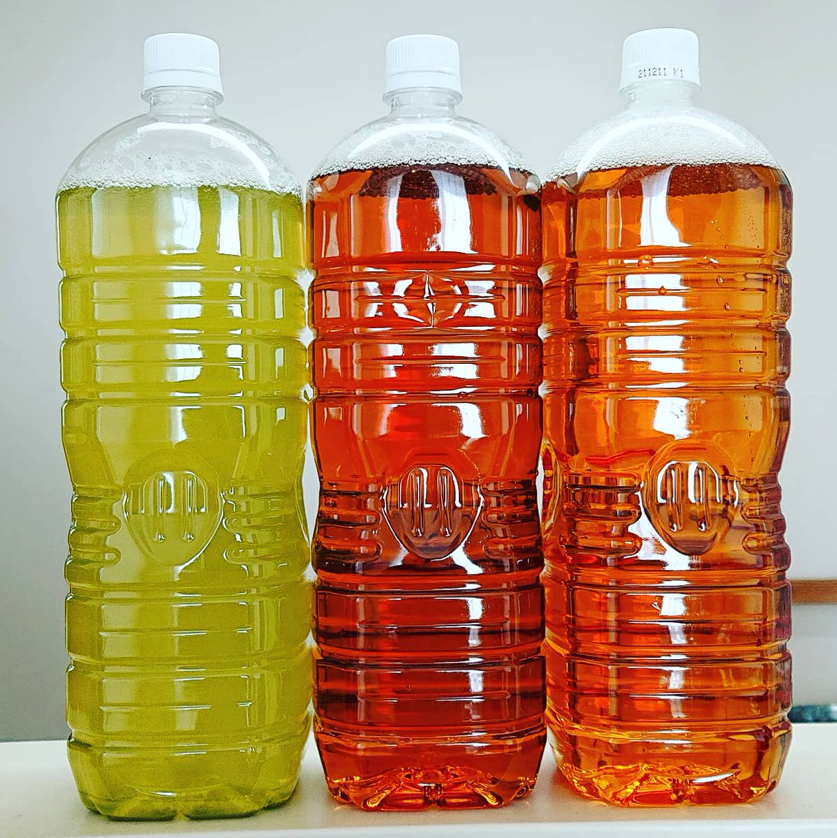 kchateitea's tweet photo. 水出しのお茶を持ってお出かけ
しっかりと時間を描けたので
どれも濃い目に出来ていて
お酒の割りものにバッチリです
#水出し #お茶 #煎茶 #ほうじ茶 #和紅茶 #KTeasLab https://t.co/SBJURWCJcD