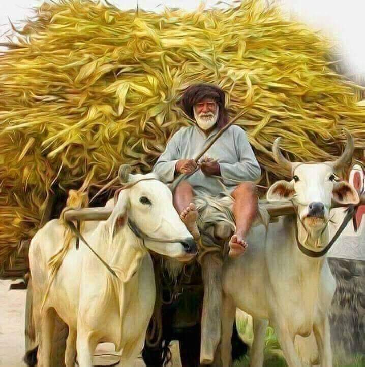 भारत की वादियों में जहर घोल रहा हूँ
हैल्लो मित्रों मै चौकीदार बोल रहा हूँ 🐕

#संविधान_सर्वश्रेष्ठ_है
#किसानों_का_दर्द_समझो