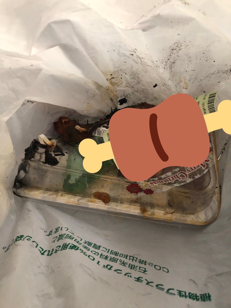 自分のクリスマスはレンジでチキン溶けて終わりました😊