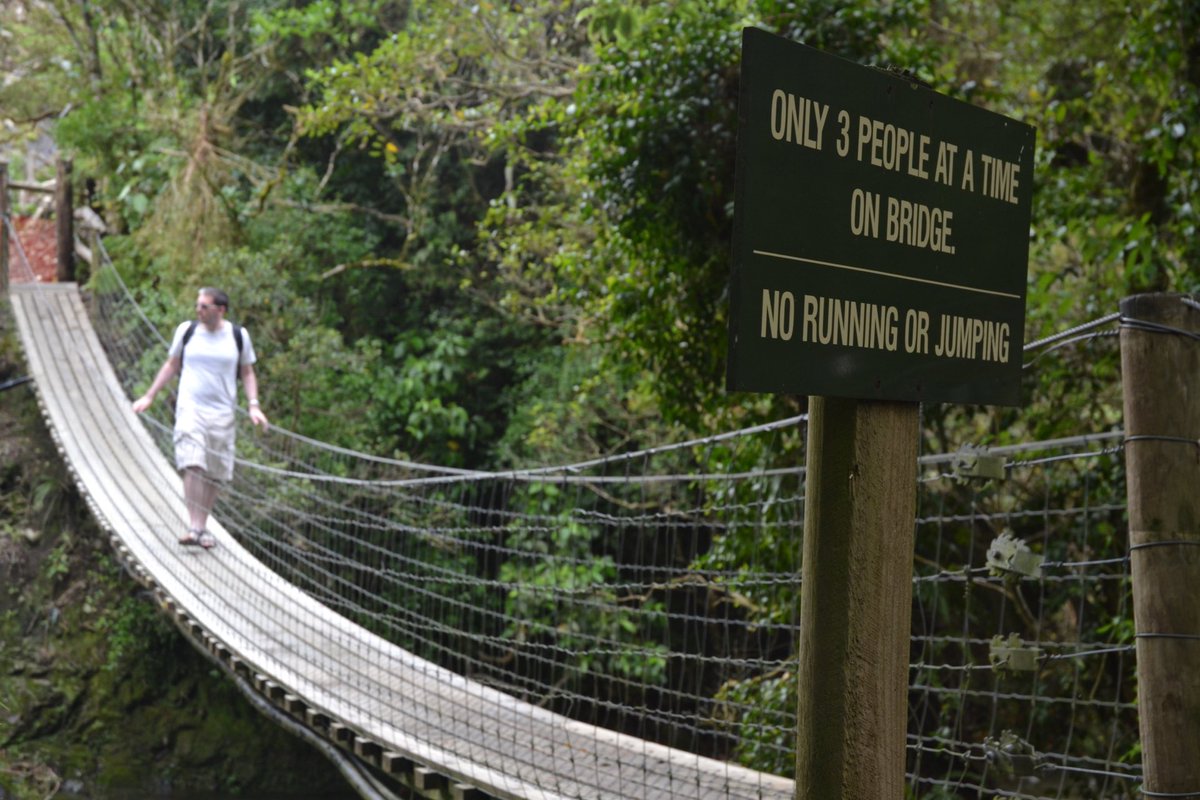 RichardFish4's tweet photo. Slightly pathetic end to #BridgeAZ but all I can manage is Z for New Zealand. Rope bridges at Staglands and Rimutka parks, Totara cable stay in Harcourt over the Hutt river and an odd footbridge in Wellington harbour. https://t.co/dlJN8UJKgB